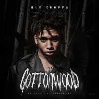 Cottonwood (NLE Choppa EP) Lyrics & EP Tracklist