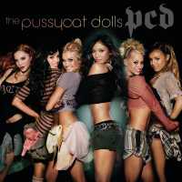 The Pussycat Dolls - How Many Times, How Many Lies