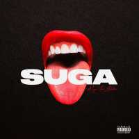 Megan Thee Stallion - SUGA (Album) Lyrics & Album Tracklist