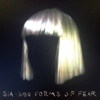 Dressed In Black Lyrics - Sia