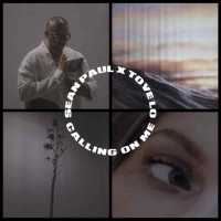 Calling On Me Lyrics - Sean Paul, Tove Lo