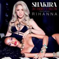 Can't Remember To Forget You Lyrics - Shakira Ft. Rihanna