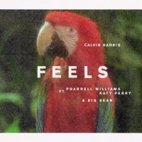 Feels Lyrics - Calvin Harris Ft. Pharrell Williams, Katy Perry & Big Sean