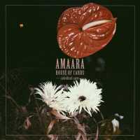 House of Cards Lyrics - AMAARA