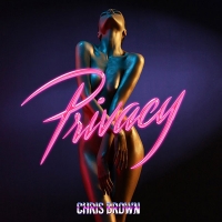 Privacy Lyrics - Chris Brown