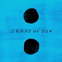 Shape of You Lyrics - Ed Sheeran