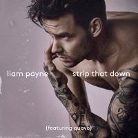 Strip That Down Lyrics - Liam Payne Ft. Quavo