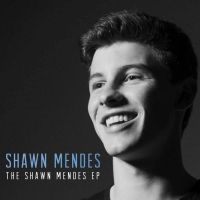 Life of the Party Lyrics - Shawn Mendes
