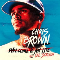 Welcome To My Life Lyrics - Chris Brown Ft. Cal Scruby