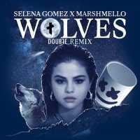 Wolves Lyrics - Selena Gomez & Marshmello