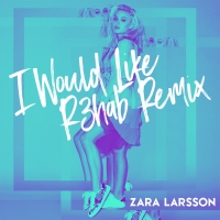 I Would Like (R3hab Remix) Lyrics - Zara Larsson